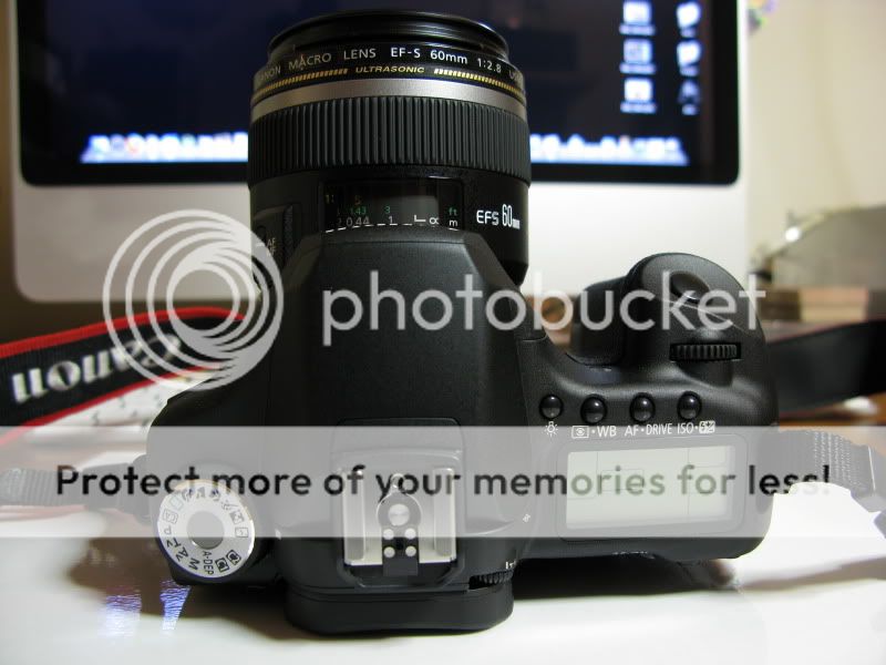 Présentation Canon EOS 50D & Canon EF-S 60mm macro USM IMG_2108